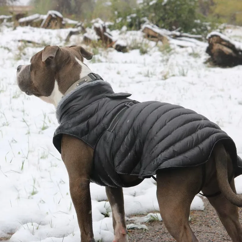 Alpine Extreme Weather Puffer Coat for Adventurous Dogs